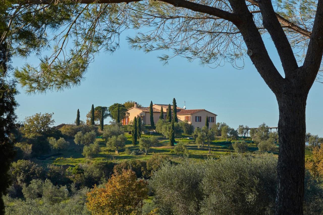 Poggio Tamantino, Villa Con Piscina In Maremma Poggio Cavallo Екстериор снимка