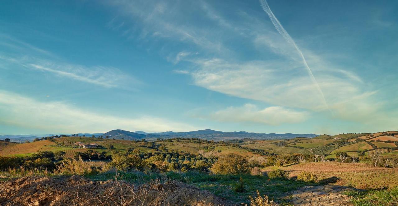 Poggio Tamantino, Villa Con Piscina In Maremma Poggio Cavallo Екстериор снимка